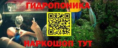 гидра Будённовск
