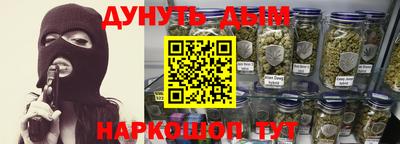 гидра Будённовск