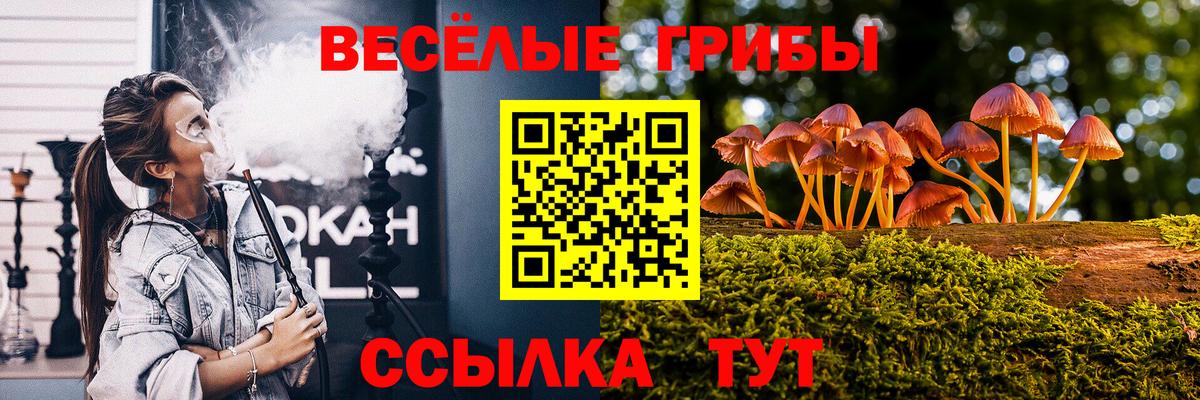 сколько стоит  Вход с VPN  Полысаево  Псилоцибиновые грибы Cubensis 